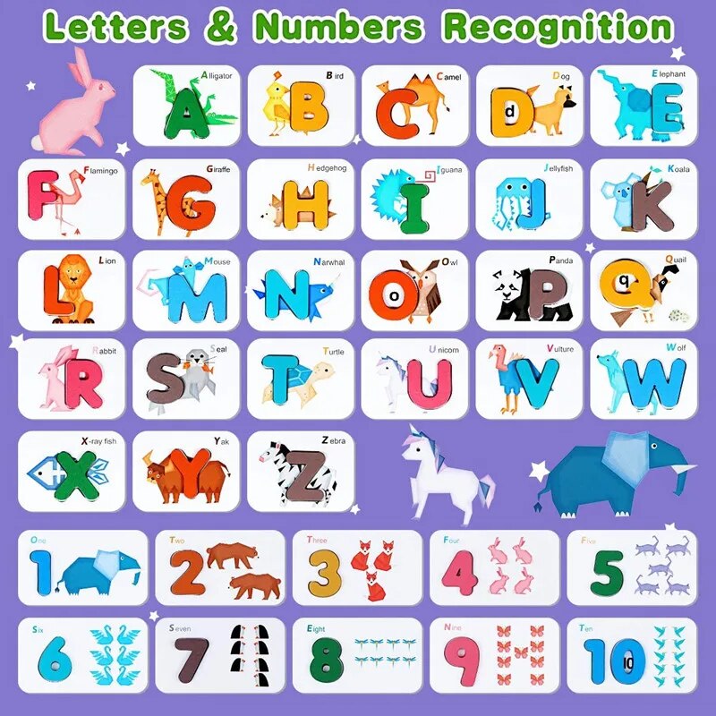 Montessori Alphabet Numbers Fl - Flash Card Alphabet review and price