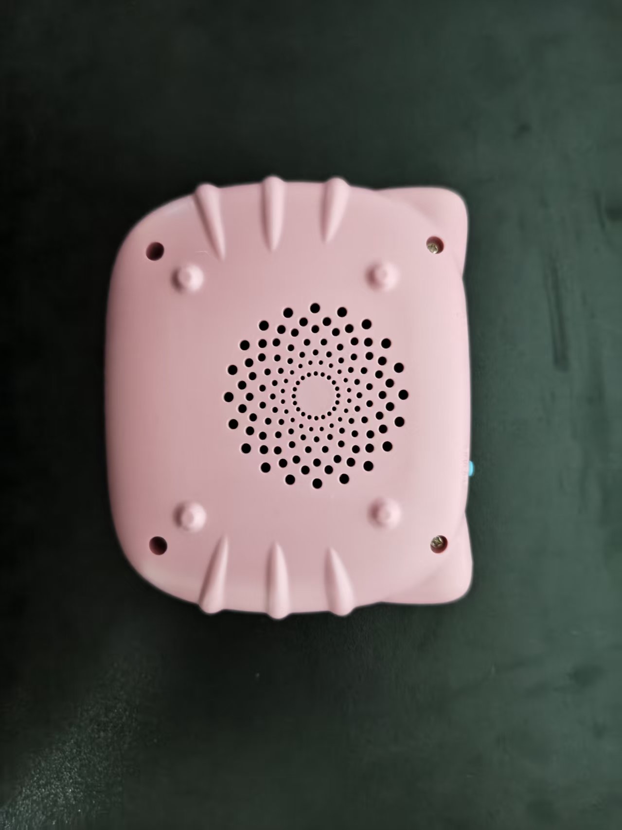 BearBoo Flash Card Reader, Kid - Kids Educational Reader review and price