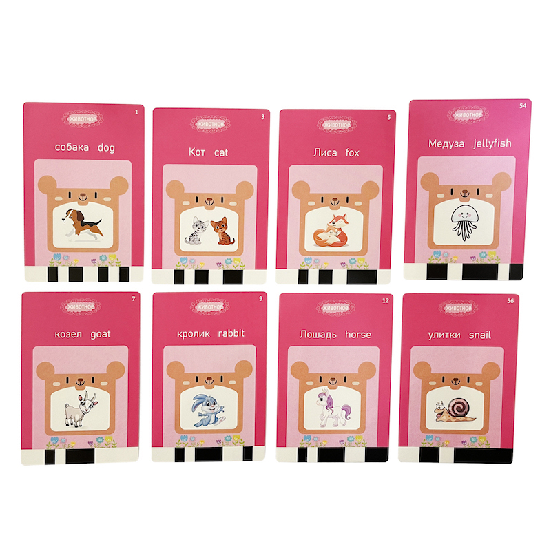 Russian English Taking Flash C - Flash Card Alphabet review and price