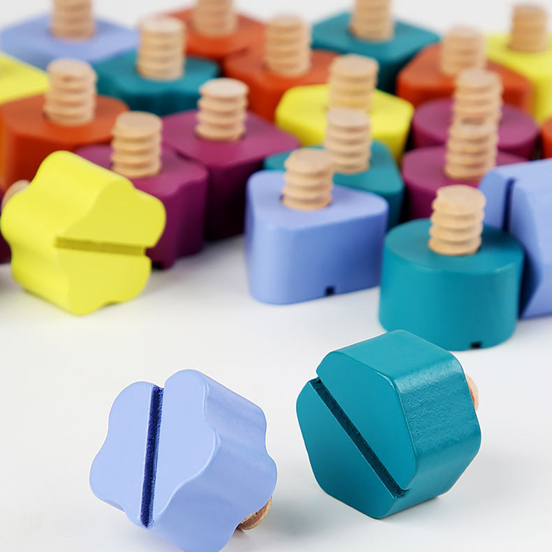 Children Wooden Screw Nut Disa - Montessori Shelf Toy review and price