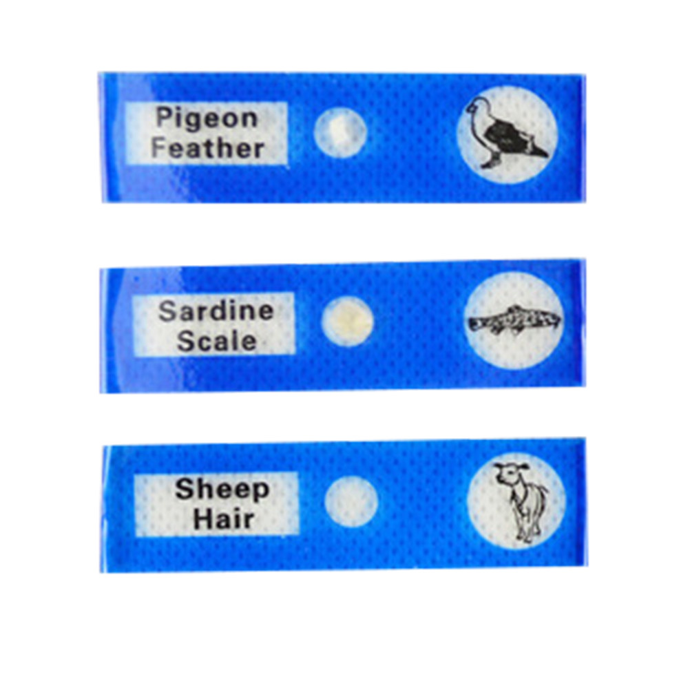12Pcs Plastic Microscope Slide - Kids Education Level review and price