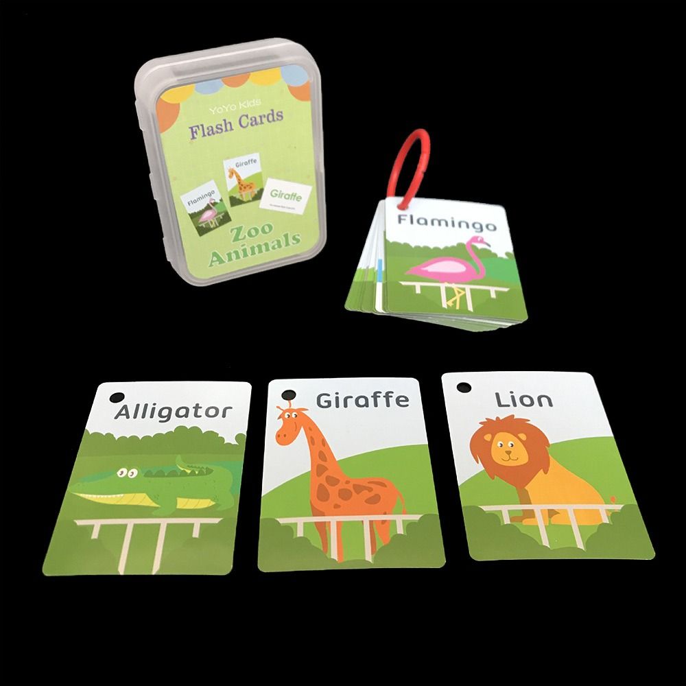 With Ring Alphabet Chart Alpha - Flash Card Alphabet review and price
