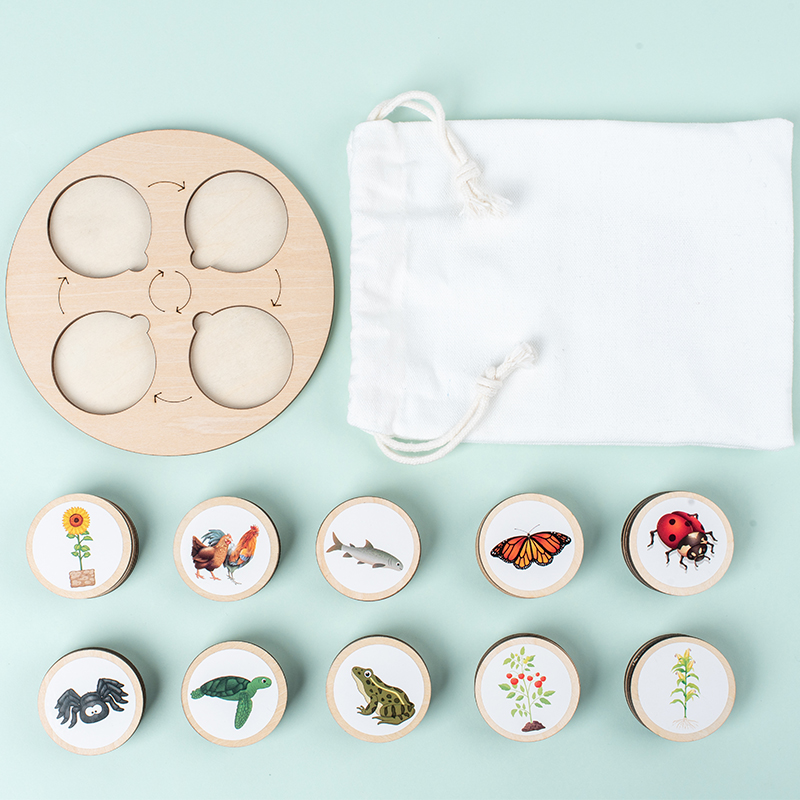 Life Cycle Board Montessori Ki - Montessori Shelf Toy review and price