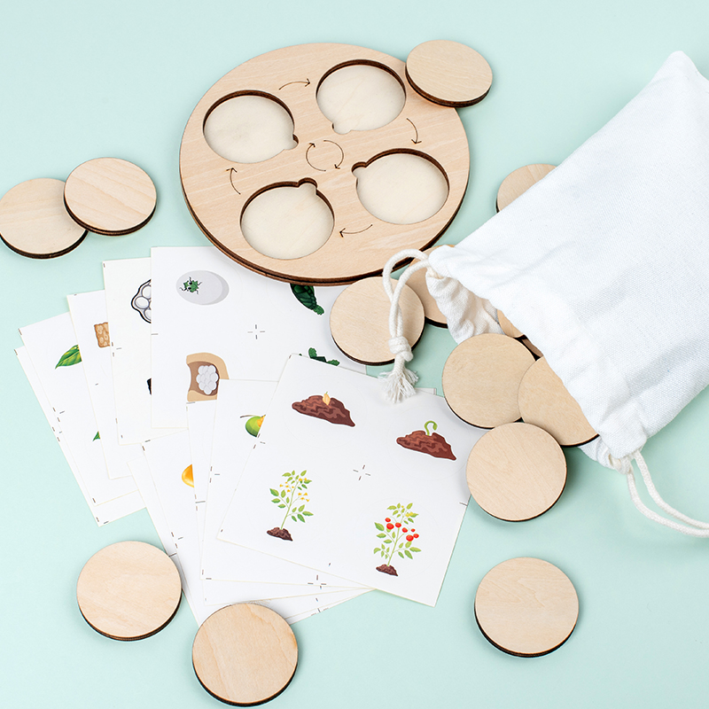 Life Cycle Board Montessori Ki - Montessori Shelf Toy review and price