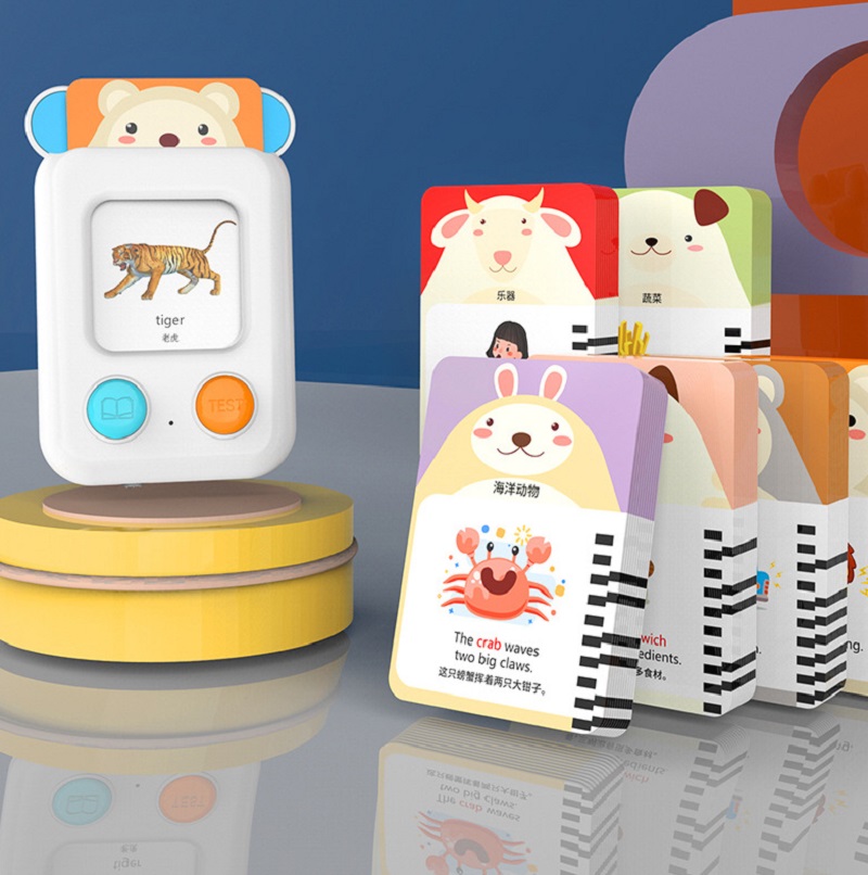 Kid 144 Flashcard Language Lea - Kids Educational Reader review and price
