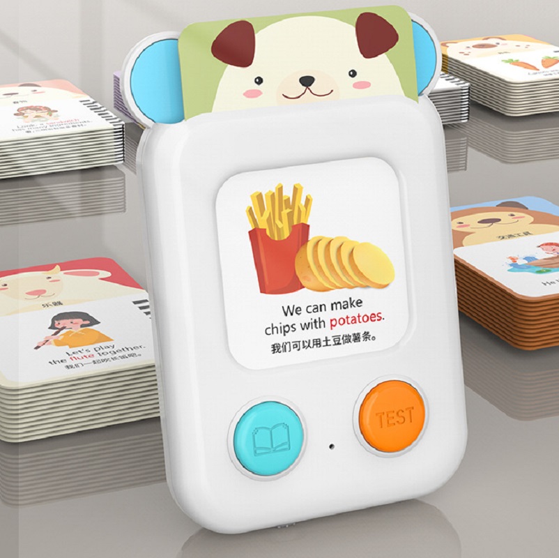 Kid 144 Flashcard Language Lea - Kids Educational Reader review and price