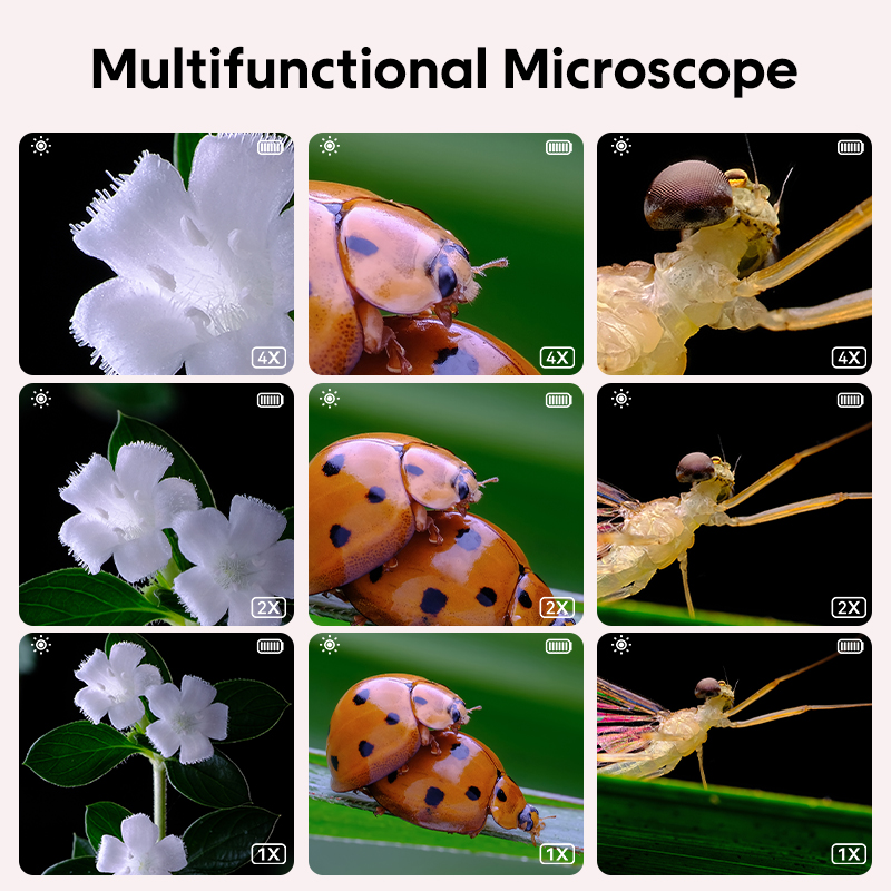 Mini Kids Optical Microscope W - Kids Education World review and price