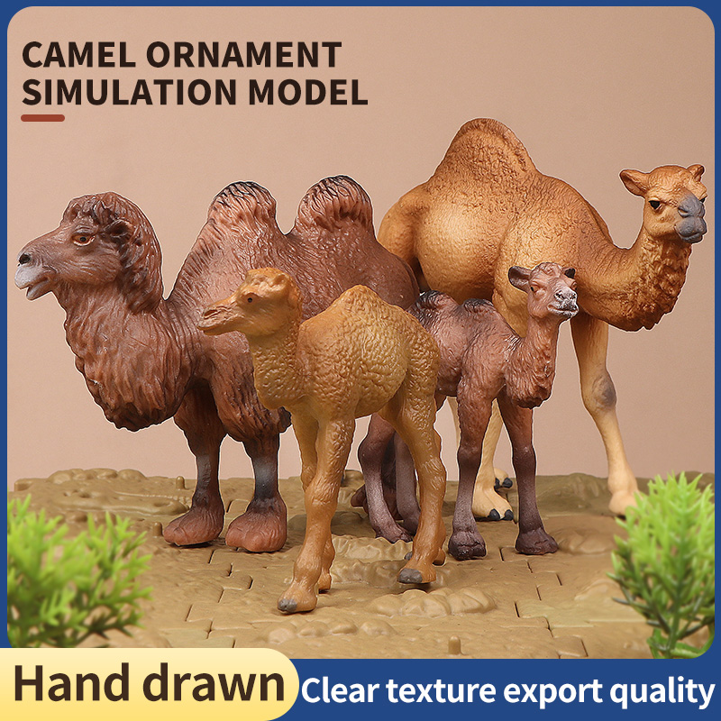 New Wildlife World Solid Simul - Kids Education World review and price
